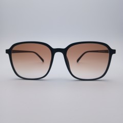 Очки Cолнцезащитные TR8562-C2-BRN-AB-GD