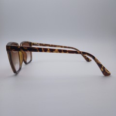 Очки солнцезащитные 2043-C3-BRN-AB-GD